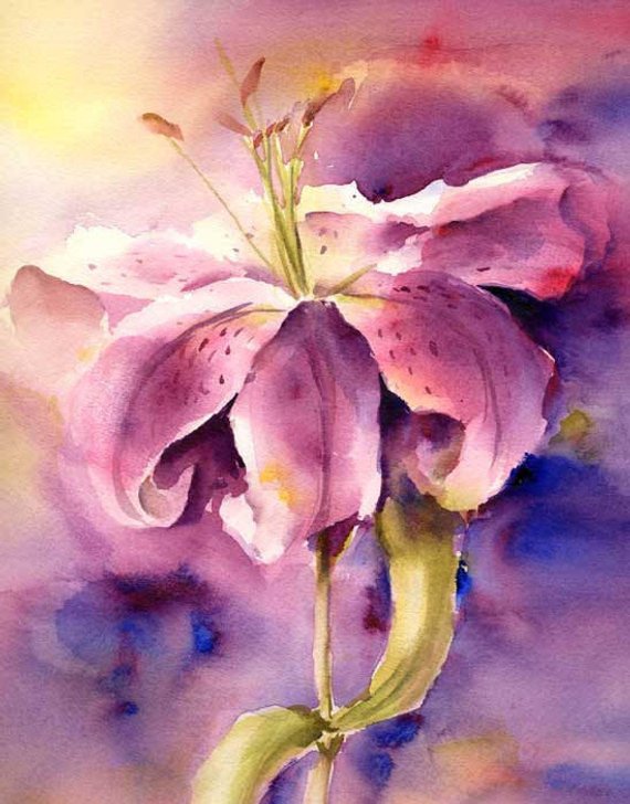 570x728 Stargazer Lily Art Watercolor Painting Print By Etsy - Stargazer Lily Watercolor