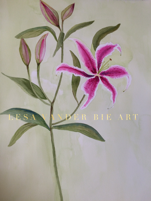 480x640 Stargazer Lily Lesa Vander Bie Art - Stargazer Lily Watercolor