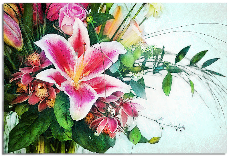 800x548 Janicedarby Watercolor Stargazer Lily - Stargazer Lily Watercolor