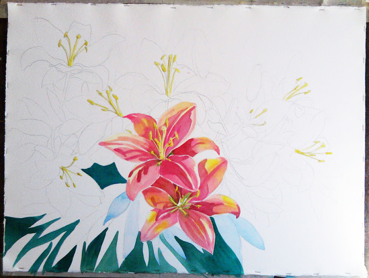 720x544 Starting Watercolor Of Lily Flowers - Starting A Watercolor Painting