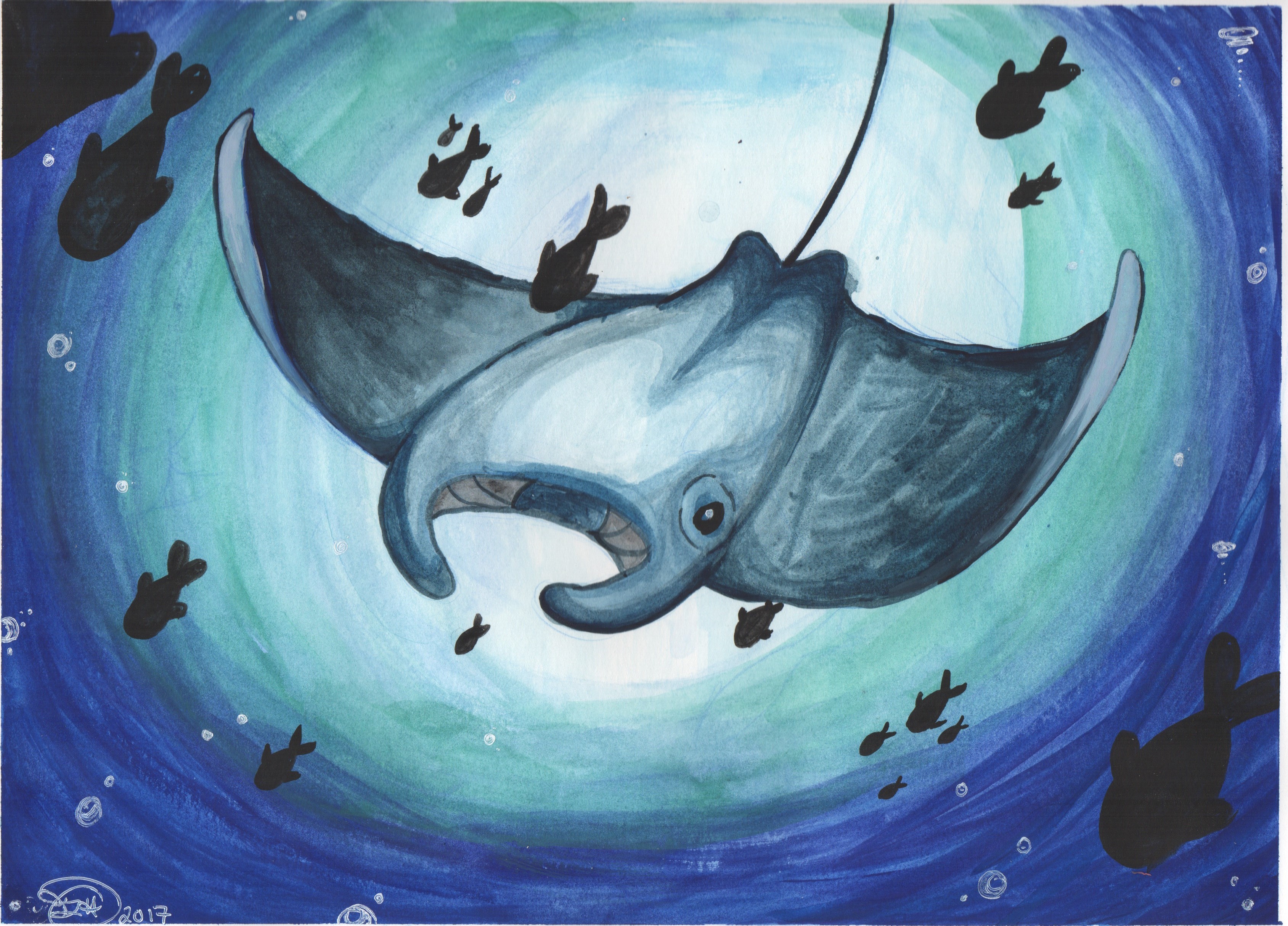 3378x2428 Manta Ray Watercolor Original On Storenvy - Stingray Watercolor