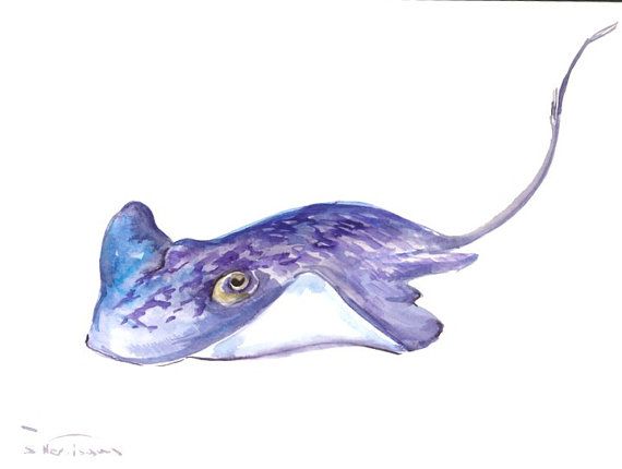 570x430 Stingray, Original Watercolor Painting, 12 X 9 In, Sea Animal Art - Stingray Watercolor