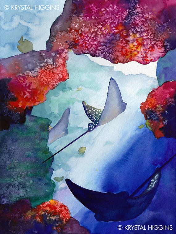 570x757 8 X 10 Print Of Coral Stingray Watercolor By Krystalhigginsstudio - Stingray Watercolor
