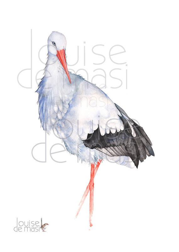 570x804 Stork Print Of Watercolor Painting S20617 A3 Size Stork - Stork Watercolor