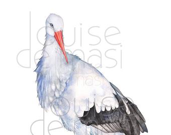 340x270 Stork Watercolor Etsy - Stork Watercolor