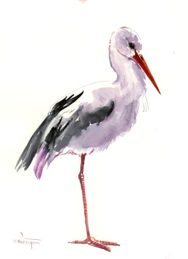 616x850 White Stork, Original Watercolor Painting, Bird Lover Art, Birds - Stork Watercolor