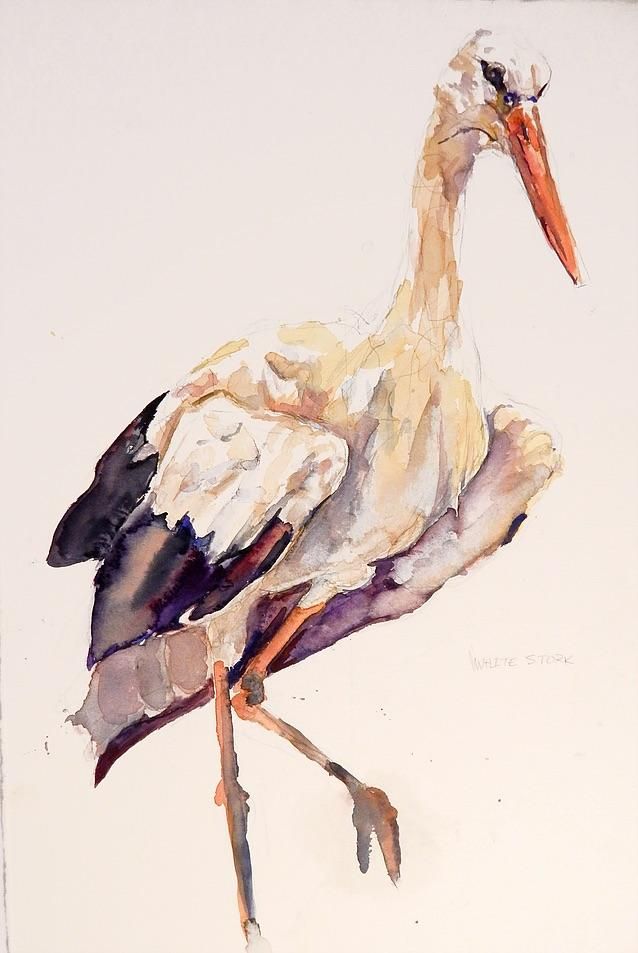 638x953 White Stork Watercolor 12x24 Art Watercolor - Stork Watercolor