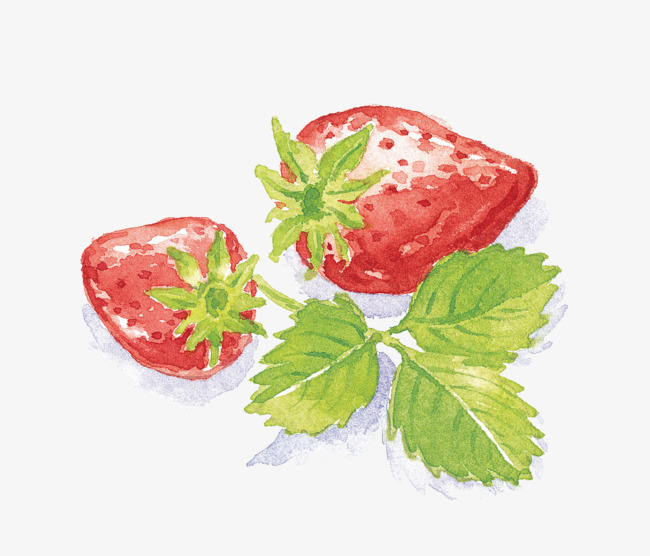 650x556 Watercolor Hand Painted Strawberry, Watercolor Clipart, Strawberry - Strawberry Watercolor