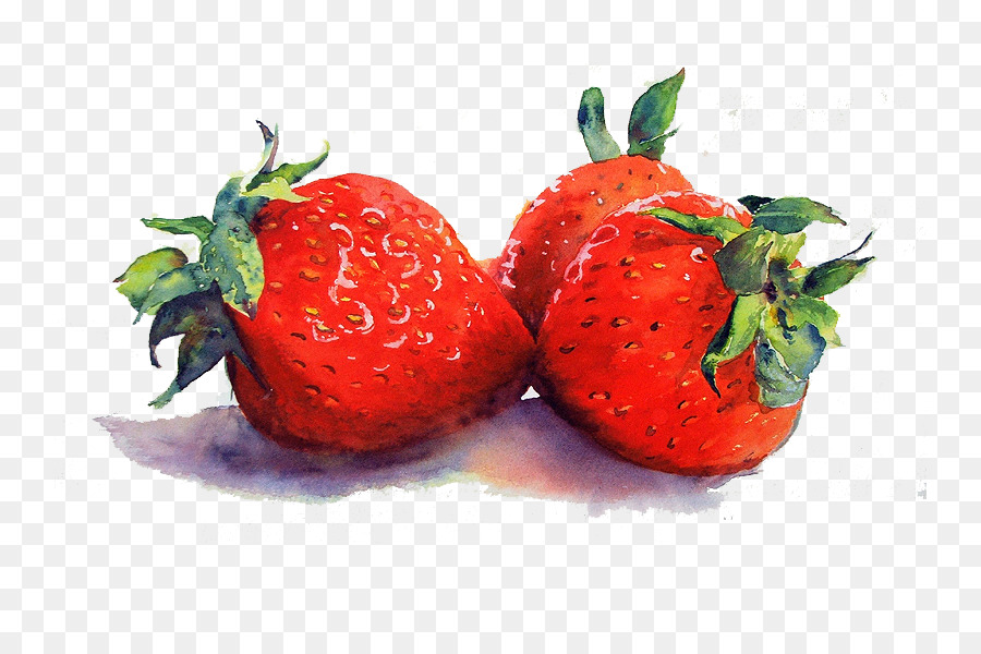 900x600 Watercolor Still Life Tulips In A Vase Watercolor Painting - Strawberry Watercolor