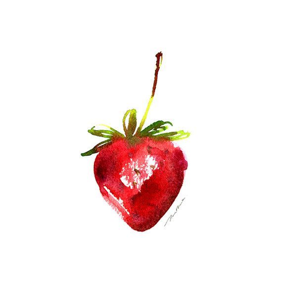 570x592 Strawberry Watercolour - Strawberry Watercolor