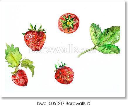 437x364 Art Print Of Watercolor Painting Of Strawberries Barewalls - Strawberry Watercolor Painting