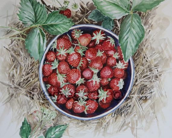 570x456 Original Strawberry Watercolor Painting Strawberry Art 9x12 Etsy - Strawberry Watercolor Painting