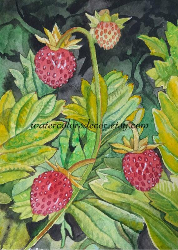 570x802 Original Wild Strawberries Watercolor Painting 5x7 Fruit Etsy - Strawberry Watercolor Painting