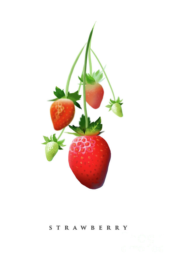 600x900 Red Strawberries Watercolor Style, Digital Illustration Painting - Strawberry Watercolor Painting