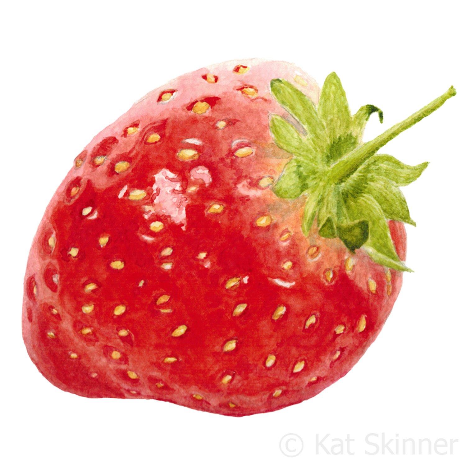 1500x1500 The Strawberry Kat Skinner - Strawberry Watercolor Painting