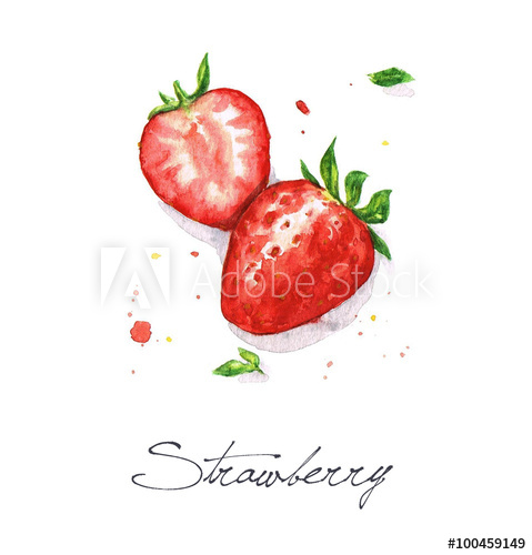479x500 Watercolor Food Painting - Strawberry Watercolor Painting