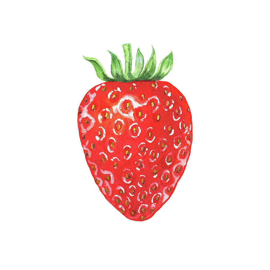 900x900 Watercolor Strawberry Painting By Irina Sztukowski - Strawberry Watercolor Painting