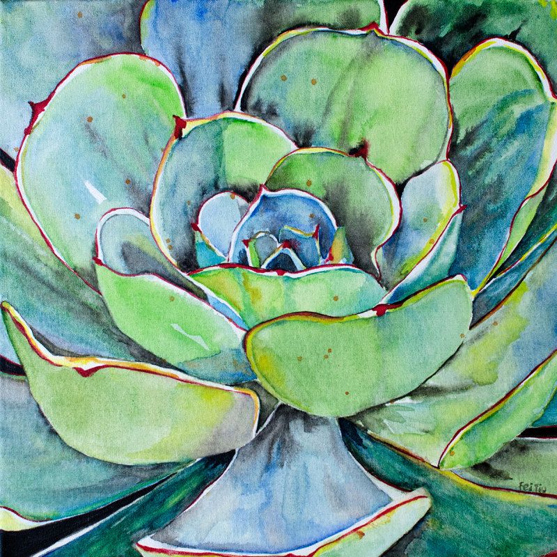 800x800 Original Succulent Watercolor Painting On Canvas Green Agave Plant - Succulent Watercolor Painting