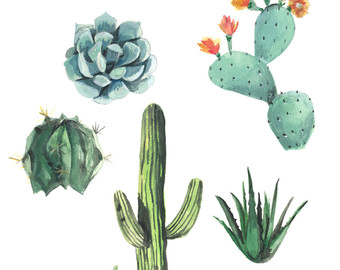 340x270 Southwest Art Print Painting Of Succulent Houseplant - Succulent Watercolor Painting