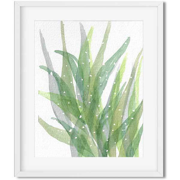 600x600 Succulent - Succulent Watercolor Painting