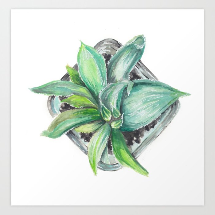 700x700 Succulent Watercolor Painting Art Print By Andaleem Society6 - Succulent Watercolor Painting