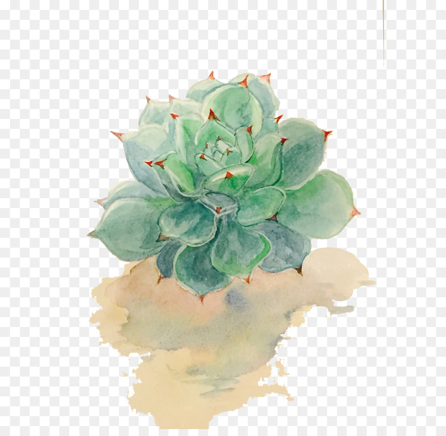 900x880 Succulent Plant Watercolor Painting Drawing - Succulent Watercolor Painting