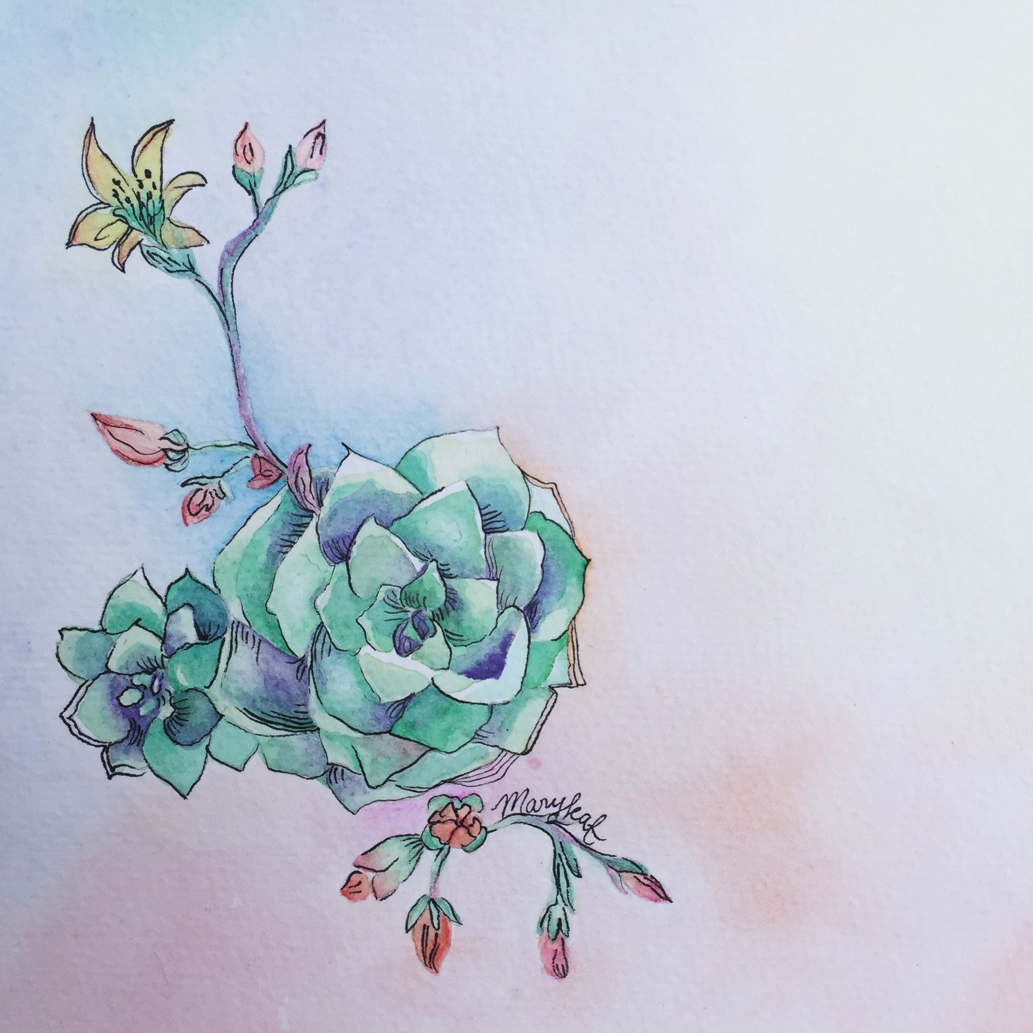 Succulent Watercolor Painting At PaintingValley Com Explore   Succulent Watercolor Painting 34 