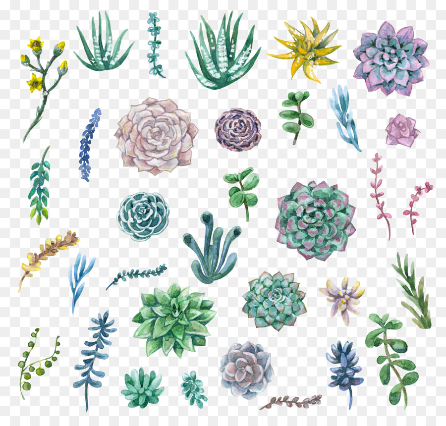 900x860 Watercolor Painting Succulent Plant Clip Art - Succulent Watercolor Painting