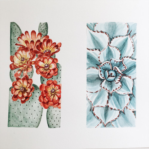 498x498 Cactus Amp Succulent Watercolor Painting - Succulent Watercolor Painting