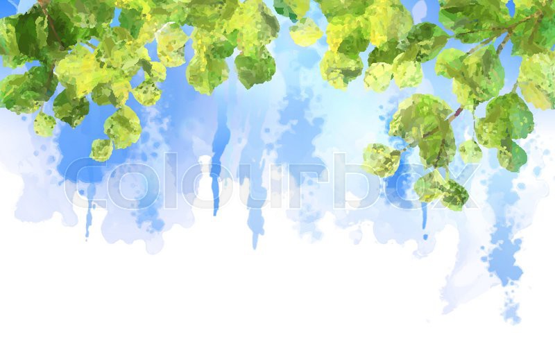 800x525 Green Leaves, Tree Branches, Vector Watercolor Summer Background - Summer Watercolor