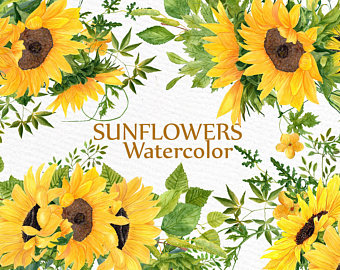 Sunflower Watercolor at PaintingValley.com | Explore collection of ...