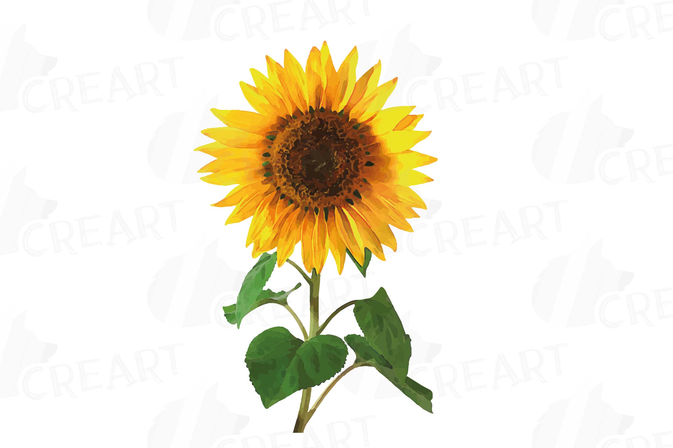 2188x1459 Sunflower Watercolor Clip Art Pack, Watercolor Sunflower Design - Sunflower Watercolor