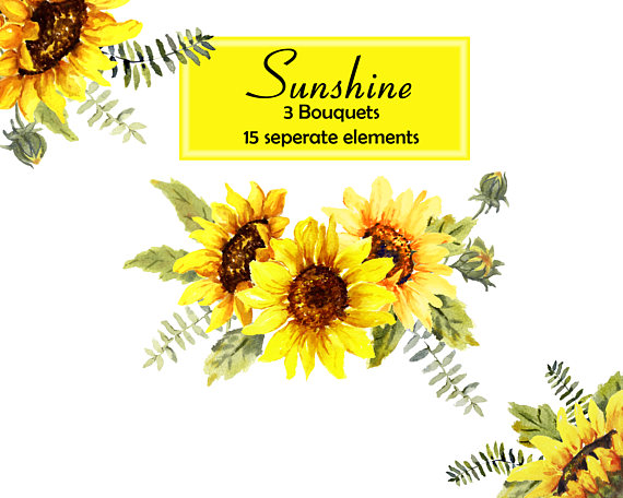 570x456 Sunshine And Sunflowers, Watercolor Sunflowers Floral Clip Art - Sunflower Watercolor