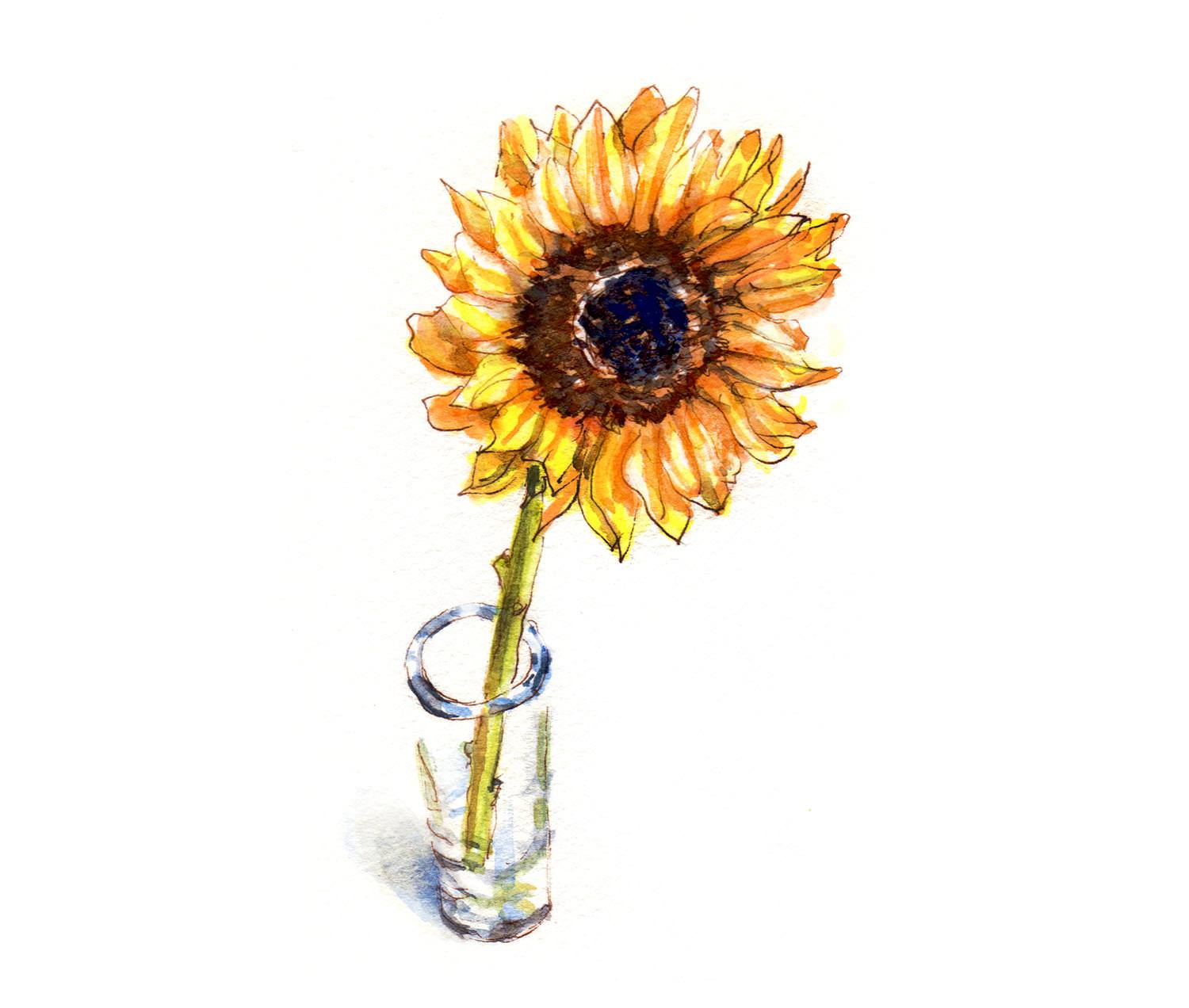 1500x1272 ~ World Watercolor Month - Sunflower Watercolor