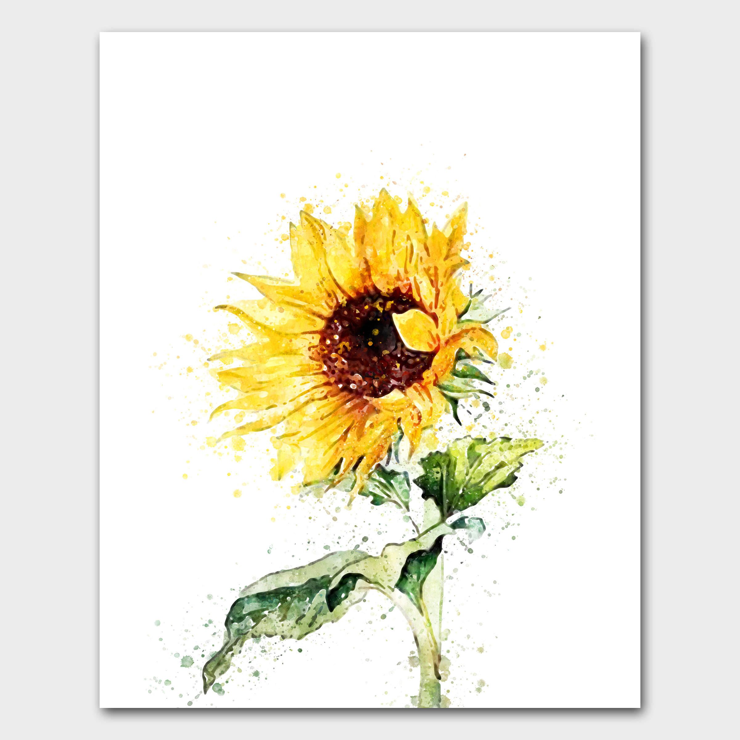 2400x2400 Watercolor Flowers, Spring Flowers, Hand Drawn Flowers, Sunflower - Sunflower Watercolor