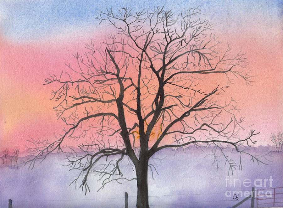 900x664 Sunrise Walnut Tree 2 Watercolor Painting Painting By Conni - Sunrise Watercolor Painting