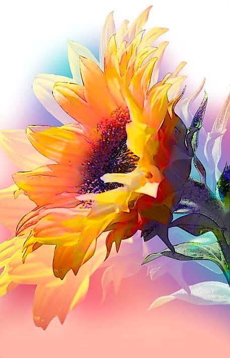 456x711 Let The Sunshine In... Watercolor In 2018 Sunshine - Sunshine Watercolor