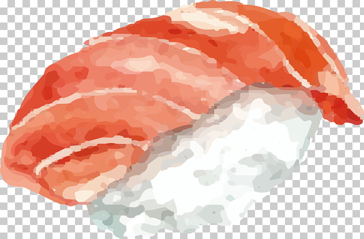 728x478 Sushi Japanese Cuisine Chopsticks Watercolor Painting, Sushi - Sushi Watercolor