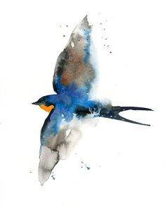 236x295 354 Best Swallows Images In 2018 Swallows, Birds - Swallow Watercolor