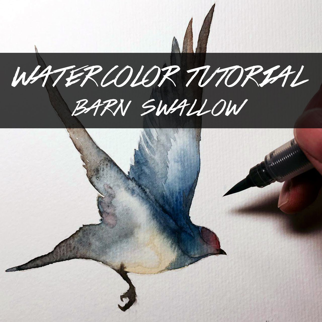 1280x1280 Syk Watercolor Tutorial Barn Swallow - Swallow Watercolor