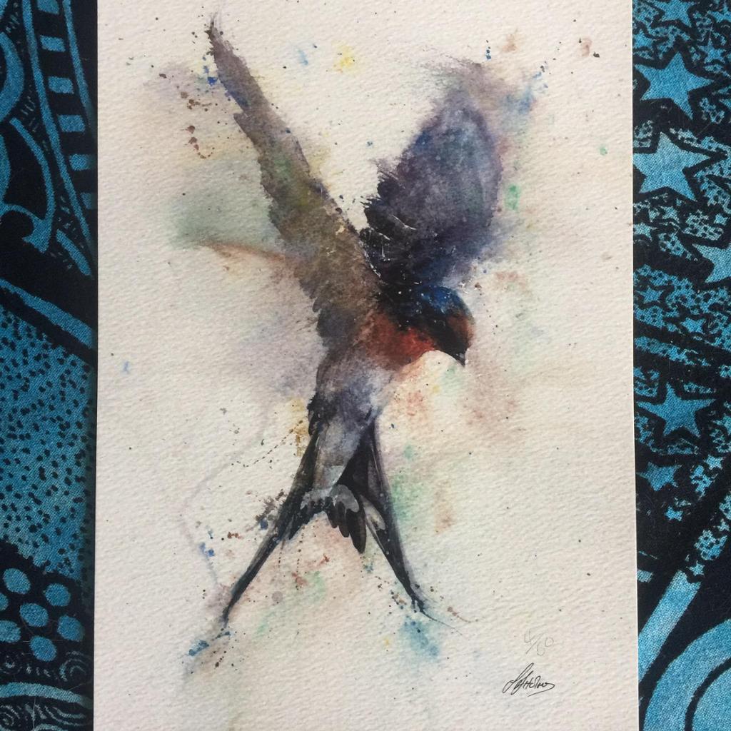 1024x1024 Swallow Watercolour - Swallow Watercolor