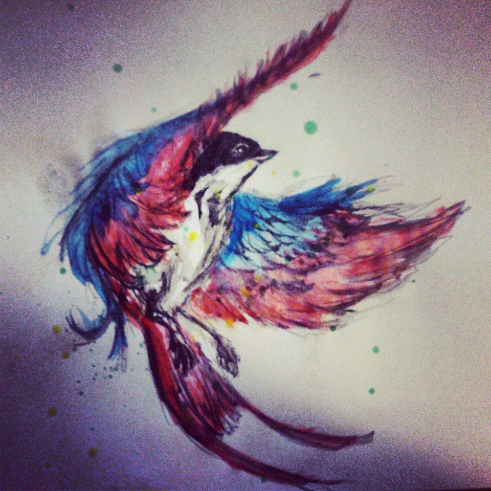 960x960 Swallow Drawing - Swallow Watercolor