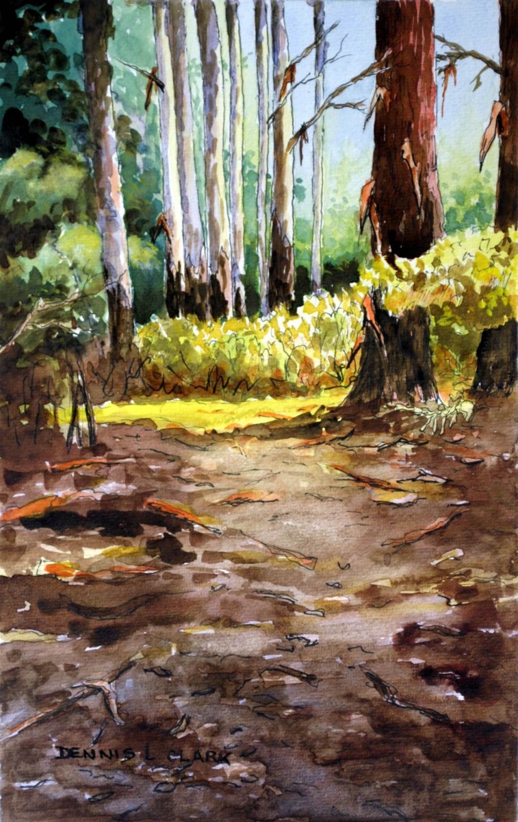 757x1200 How To Paint Bluegum Trees In Forest In Watercolor Online Art - Swamp Watercolor