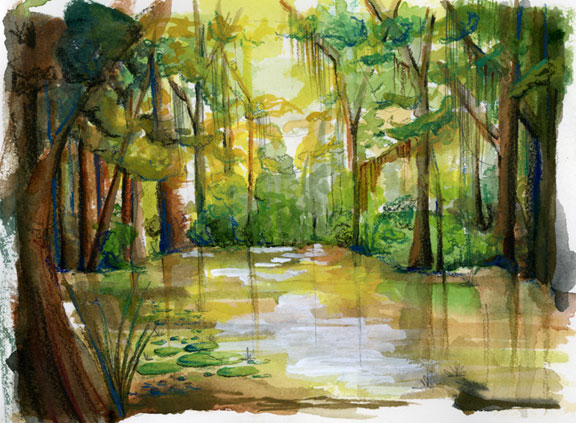 576x423 Illustration Theartofcat - Swamp Watercolor