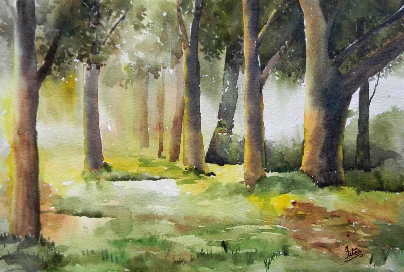 800x540 Morning In Wood By Artist Jitendra Sule Landscape Art - Swamp Watercolor