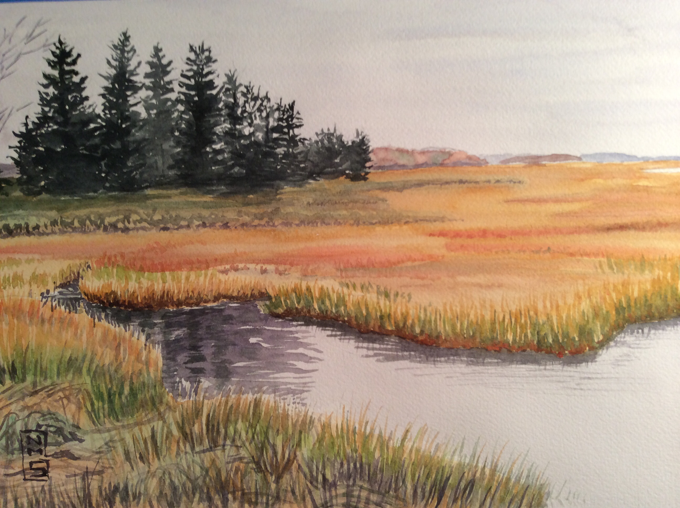 2592x1936 Paintings Nmsg Watercolorsnmsg Watercolors - Swamp Watercolor