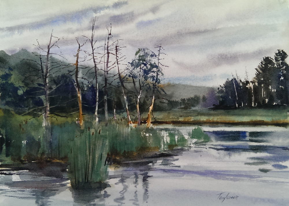 1000x713 Underhill Swamp Limited Edition Print Vermont Watercolor - Swamp Watercolor