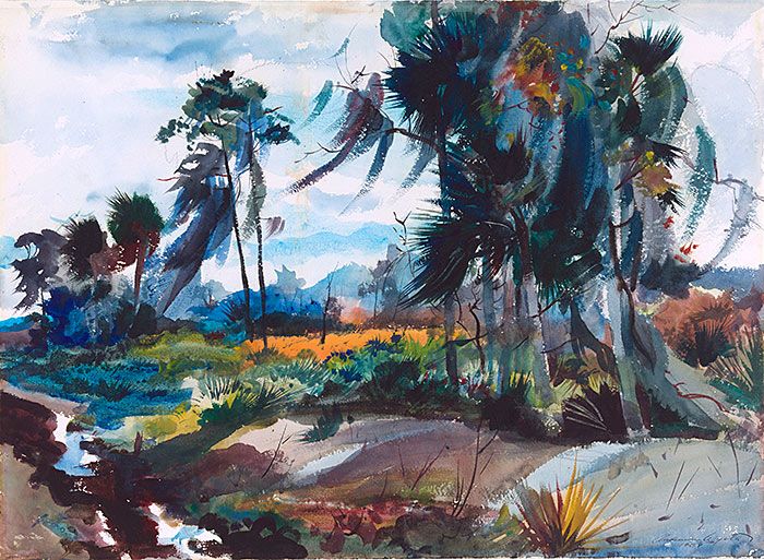 700x513 Huariqueje Florida Swamp - Swamp Watercolor