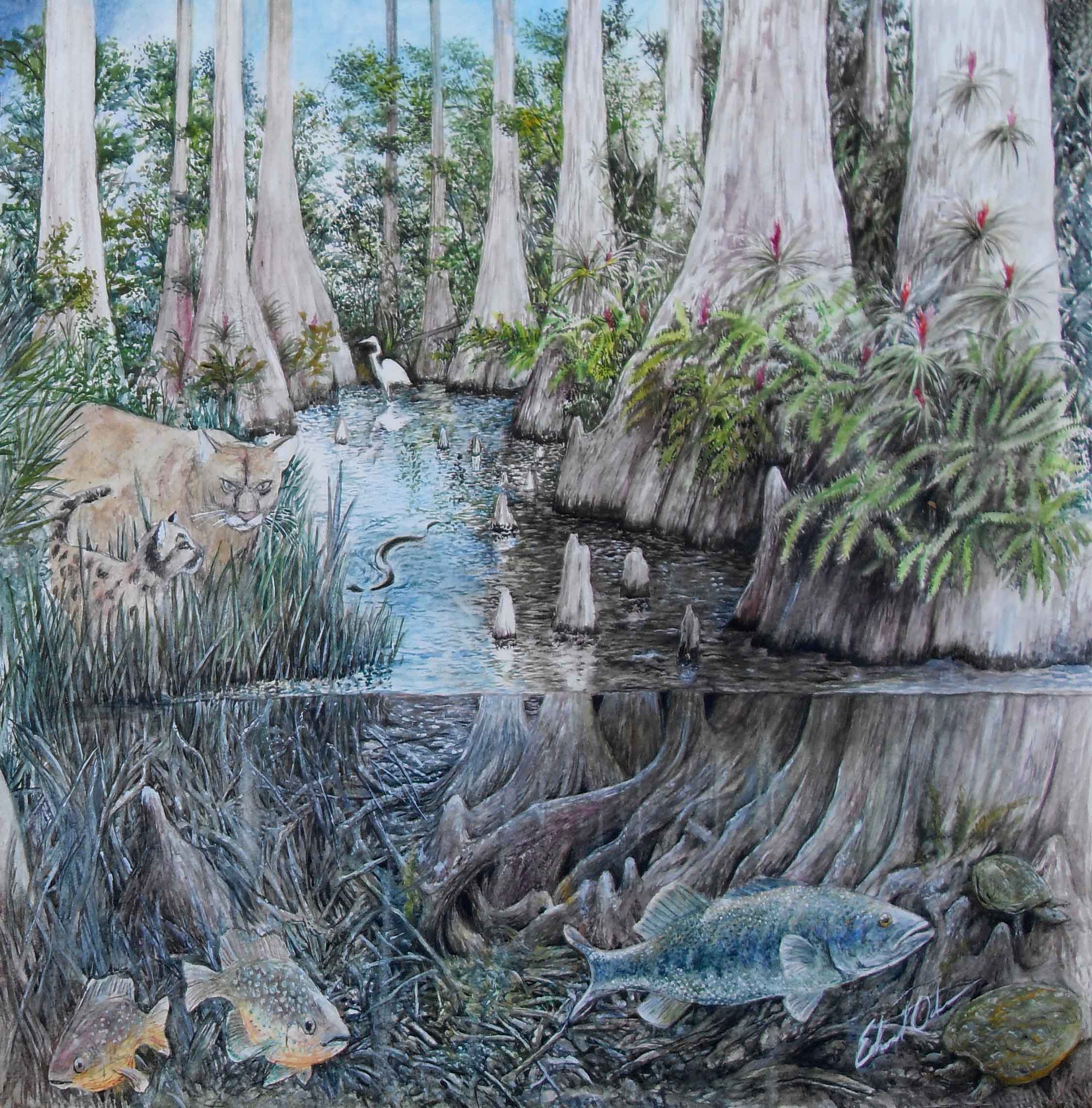 Swamp Watercolor at PaintingValley.com | Explore collection of Swamp ...