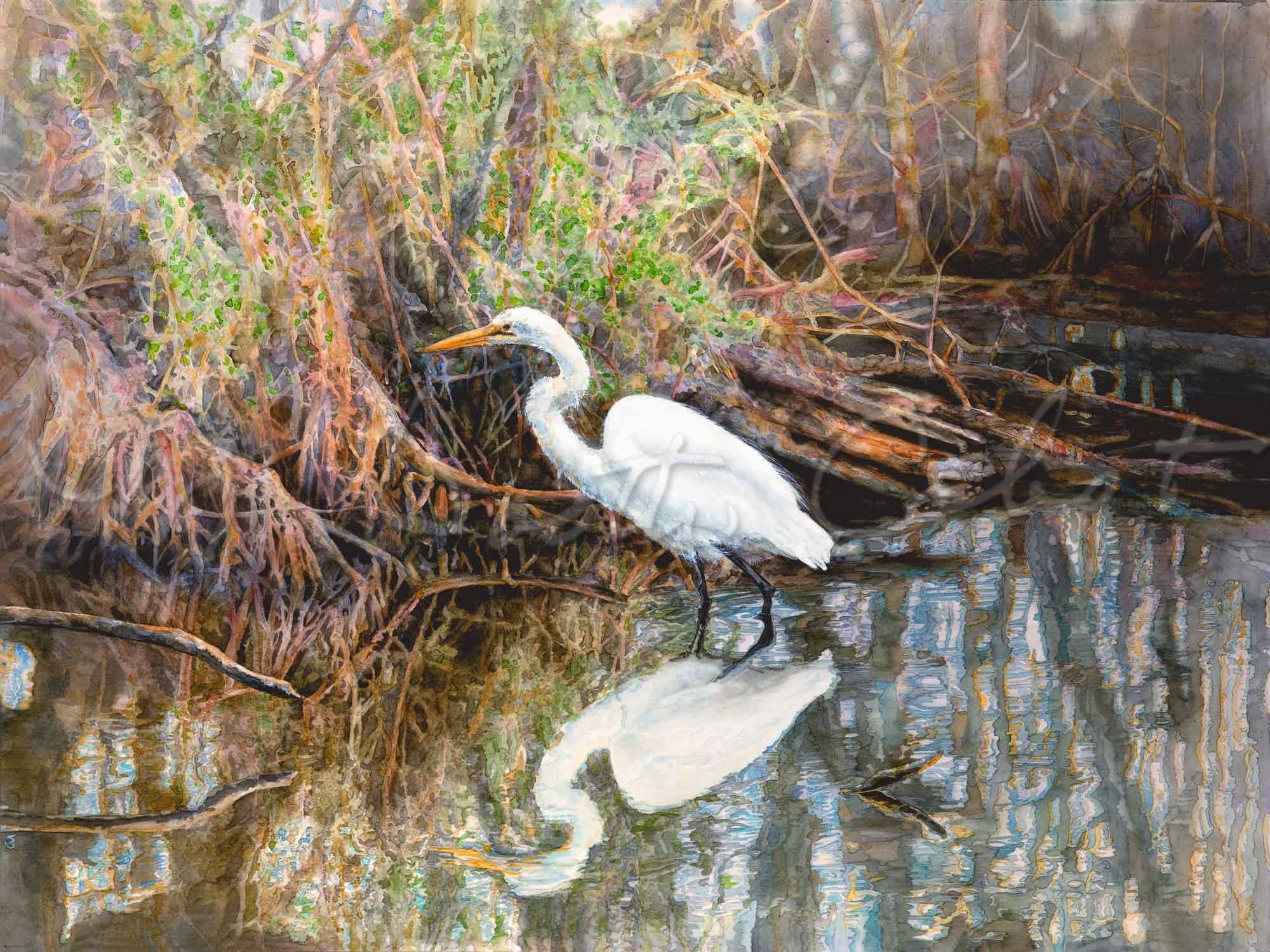 2000x1500 Egret In Mangrove Swamp - Swamp Watercolor